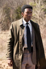 Detective Wayne Hays (Mahershala Ali)