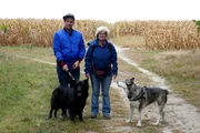 Ben und Otto mit der Tiertrainerin Regina Vetter und ihrem Husky Flocke. Seit 18 Jahren ist Regina Vetter schon Hundetrainerin in Berlin und spezialisiert auf Mantrailing-Ausbildung, bei der die Hunde darauf traniert werden, Menschen anhand ihres Geruchs aufzufinden.
