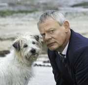 (7. Staffel) - Wären ein wirklich gutes Team: Doc Martin (Martin Clunes) und der Streuner ...