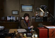 DCI Vera Stanhope (Brenda Blethyn)