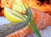 lachs, grillen, barbeque, bass, bbq, küchenchef, kabeljau, abendessen, aal, feuer, fisch, fischhändler, flamme, lebensmittel, frisch, gefroren, schellfisch, seehecht, gesundheit, gesund, home, eis, küche, zitrone, makrele, fleisch, ernährung, rosa, roh, rot, restaurant, waage, meer, silhouette, skate, sushi