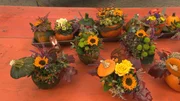 Bei der Gärtneraktion "Herbstlich willkommen".
