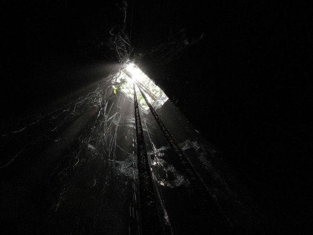 Pisté, Mexico - Inside view from cenote Holtun. The openings to the cenote are believed to be thousands of years old, created at the hands of the Maya.