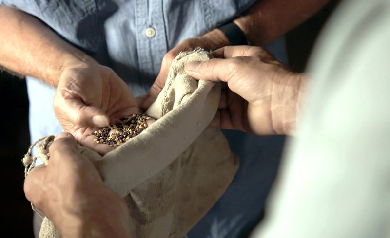 Von den Wurzeln des Geschmacks – Alte Sorten im Südwesten (D, 2019)