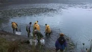 Beim Karpfenabfischen in der Oberpfalz.