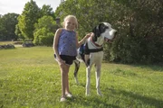 Bella and George (service dog)