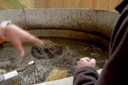 Im Zoo von Beauval wird Tierkot in Energie umgewandelt.