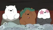 L-R: Ice bear, Grizzly, Panda