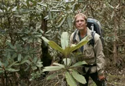 ARD/NDR EXPEDITION HIMALAJA, "Die Spur führt zum Tigerberg", am Montag (16.05.11) um 20:15 Uhr im ERSTEN.
Henry Mix sucht in der Rhododendrenzone nach Spuren von Tigern.