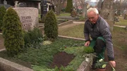 Ein Friedhofsgärtner gestaltet die Bepflanzung einer Grabstätte.
