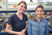 Das Degu-Männchen Rudi kennt keine Scheu: Neugierig probiert die kleine Strauchratte, wie gut es sich auf Anna klettern lässt. Tierpflegerin Melanie ist auch ganz entzückt.