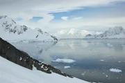 Das Polargebiet