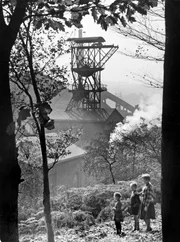 WDR Fernsehen WDR-DOK, "Als der Ruhrpott noch schwarz-weiß war Teil 2" Eine dreiteilige Archivcollage von Paul Hofmann, am Montag (21.06.10) um 00:15 Uhr.
Bochum, 1959. Kinder im Wald vor dem Bergwerk Zeche Dahlhauser Tiefbau.