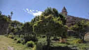 Biogranja la Real. Platz ist in Städten wie Palma de Mallorca Mangelware. Wer dennoch sein eigenes Gemüse anbauen möchte, kann sich dafür eine Parzelle mieten. Zum Beispiel in der Bio Granja La Real. "Querbeet" hat eine Frau begleitet, die sich dort nicht ohne Hintergedanken eingemietet hat.