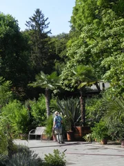 Der Senkgarten im Botanischen Garten Augsburg.