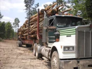 Fourth generation logger Bobby Goodson is one of the rare breed of swamp-loggers working the murky, dangerous swamps of North Carolina in search of high value timber for everything from paper products to construction grade lumber.