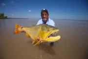 Diesmal geht Zeb Hogan mit dem Dorado ein großer Fang ins Netz. Mit bis zu 30 Kilo gehört er zu den größten Fischen in dem Fluss ...