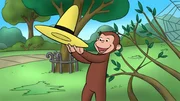 Coco liebt den gelben Hut von Ted, dem Mann mit dem gelben Hut. Manchmal muss er auf den gelben Hut aufpassen, dann darf Coco aber leider nicht mit dem gelben Hut spielen. Da muss der kleine freche Affe sich aber sehr zurückhalten...