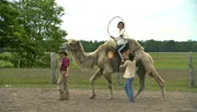 ARD/NDR SPÜRNASE, FÄHRTENSAU & CO. (6), "Godzilla - großer Name, kleiner Kauz", am Donnerstag (10.07.14) um 16:10 Uhr im ERSTEN.
Schlaganfallpatientin Sabine Maslack bei der Kameltherapie.