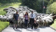 WDR Fernsehen MIT BOCK DURCHS LAND, "Folge 4 Hilfsschäfer-Duo Moschner & Naujoks trifft auf Neubauer & Kelly", am Mittwoch (10.06.15) um 21:00 Uhr.
Christine Neubauer (M) und Joey Kelly (l) gehen als Aushilfsschäfer gemeinsam mit Wanderschäfer Maik Randolph (r) durch die Lande. Später treffen sie dabei noch auf die Aushilfsschäfer Ruth Moschner und Ingo Naujoks.