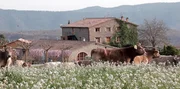 Oriol Roviras Restaurant "Els Casals"