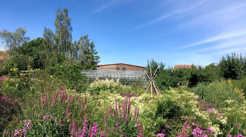 Der Traum vom Naturgarten – Eine Chance für Wildbiene, Schmetterling und Co (D, 2020)
