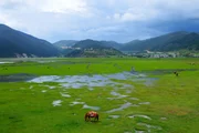 in der provinz yunnan, prairie, shangri-la ,