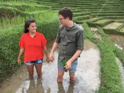 Auf den Reisterrassen helfen Louisa und Philipp einem Bauern, die kleinen Reispflanzen einzusetzen.