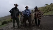 Chris Owens, Thad Robison and Brian Jill pose with alpacas on location in Ecuador.