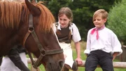 Viele Tiere mussten früher auf dem Bauernhof versorgt werden.