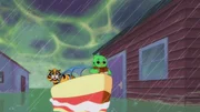 Bug (r.)