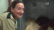 Für Dr. Christina Geiger heißt es Abschied nehmen von Orang-Utan Lucu, den sie von Geburt an gekannt hat.