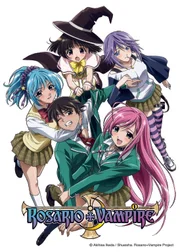 Rosario + Vampire - Artwork