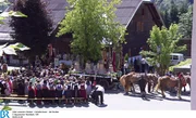 Glockenweihe in Taxenbach. Die Noriker-Wallache ziehen die tonnenschweren Glocken.