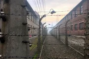 Am 27. Januar 2020 jährt sich die Befreiung des deutschen Konzentrationslagers Auschwitz-Birkenau zum 75. Mal. Mehr als eine Million Menschen sind hier ermordet worden, vor allem Juden gehören zu den Opfern.