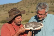 Roger Smith (l.) und Neil Shubin mit einem Thrinapsodon-Fossil.