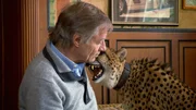 Gepard