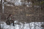 Bird goes hunting along on Brown Mountain.