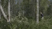 Szene