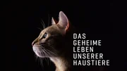 Das Logo zu "Das geheime Leben der Haustiere".