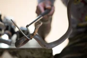 DURBAN, SOUTH AFRICA- Simon Keys handling a Mozambique spitting cobra (Naja mossambica), known for their deadly accurate and venomous spray. (Photo credit: National Geographic Channels/Frederick Higgs)