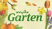 MDR Garten - Logo