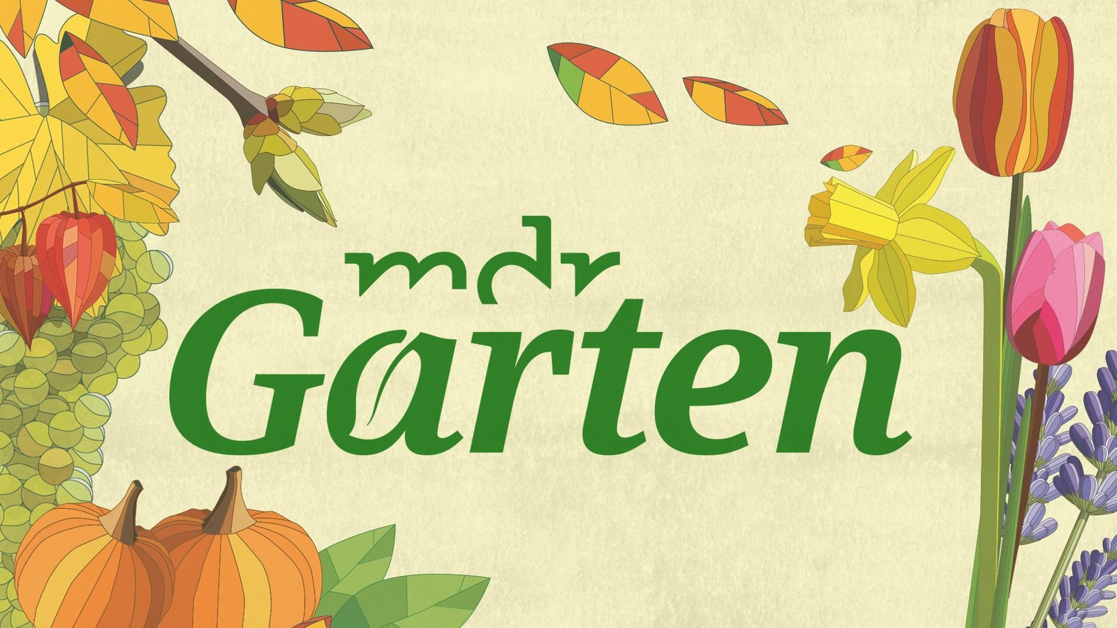 MDR Garten, News, Termine, Streams auf TV Wunschliste