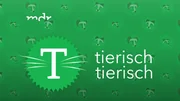 Tierisch tierisch Logo