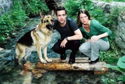 Ganz Wien ist in einer Krokodilhysterie. Im Badesee "Alte Donau" soll ein Alligator ausgesetzt worden sein. Marc (Alexander Pschill, l.), Niki (Elke Winkens, r.) und Rex versuchen, das Tier aufzuspüren ...