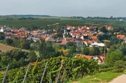 Appenheim gehört zum Anbaugebiet Rheinhessen, Bereich Bingen und Großlage Abtey.