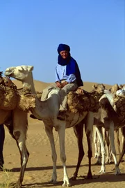 Michael Palin