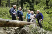 Rentner Wolfgang (li.) ist alleine an den Tennsee gereist. Er ist Einzelgänger, seit vielen Jahren. Aber hier traut er sich und bricht auf zu einer Enzianwanderung mit einer fremden Gruppe.