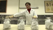 Elisabeth Oberzaucher in lab Ep3