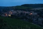 Vineyard of France.